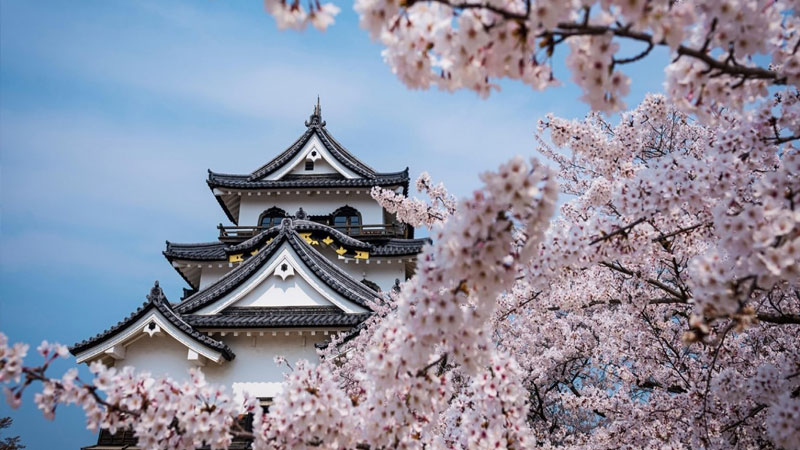 ESSENTIAL-OSAKA
