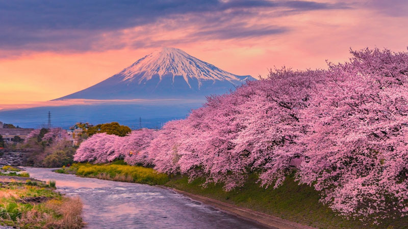 PANORAMIC-JAPAN