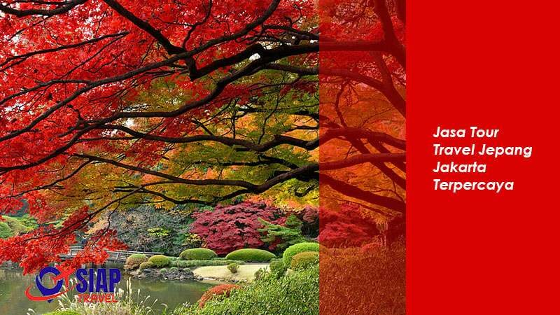 Jasa Tour Travel Jepang Jakarta Terpercaya